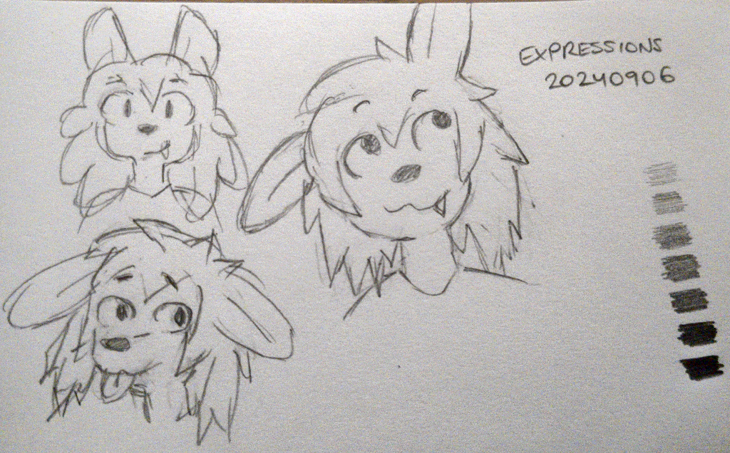 a cartoon dog character with shaggy hair and different facial expressions