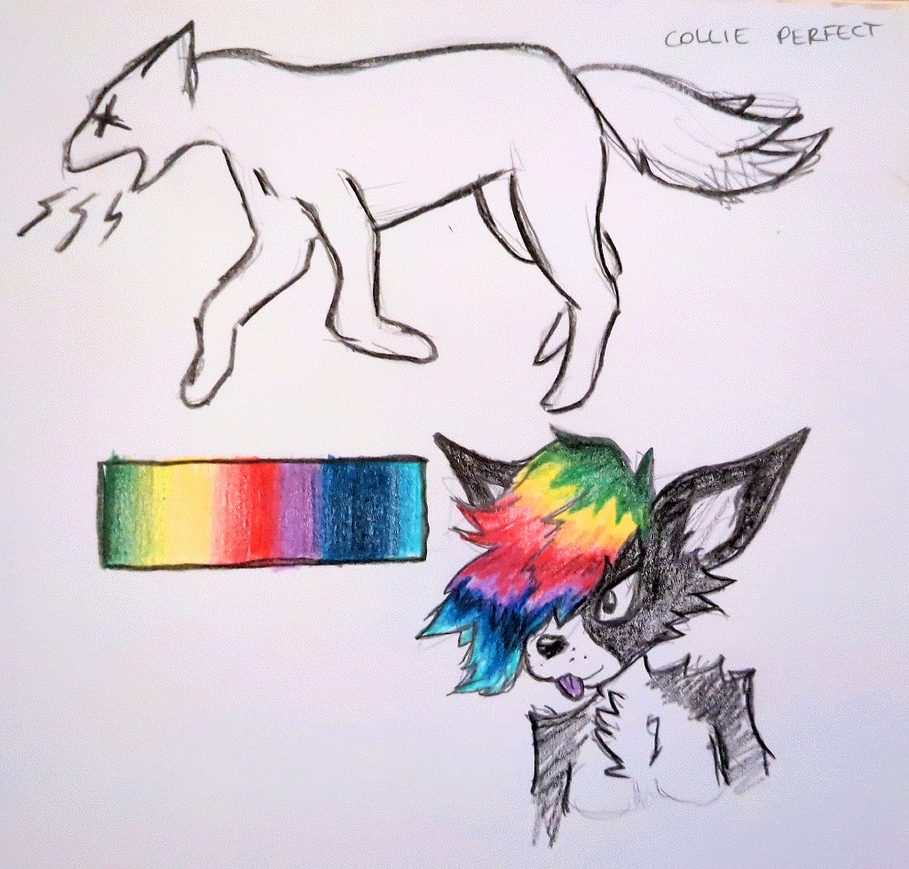 fan art of collie perfect album cover concept art