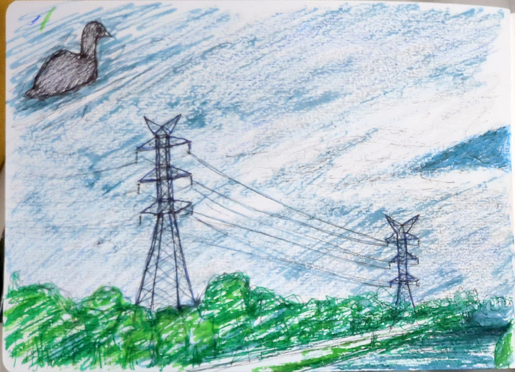 tall powerlines along a river, with trees at their feet