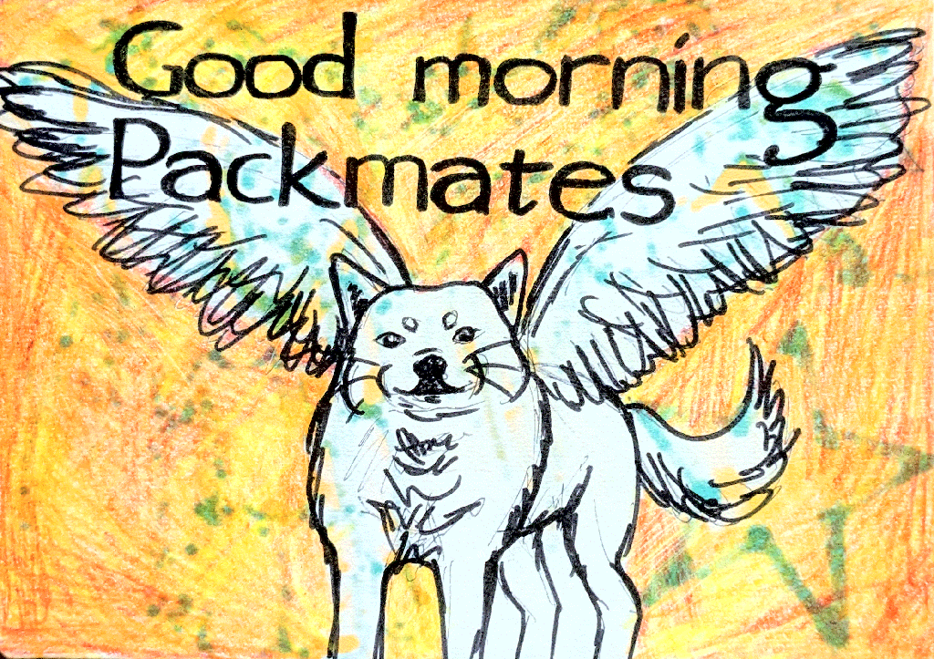 a chubby winged wolf smiling at the viewer with its wings spread out. above it is the text 'good morning packmates'.