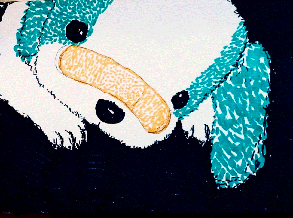 plushie dog with a bandaid on its nose